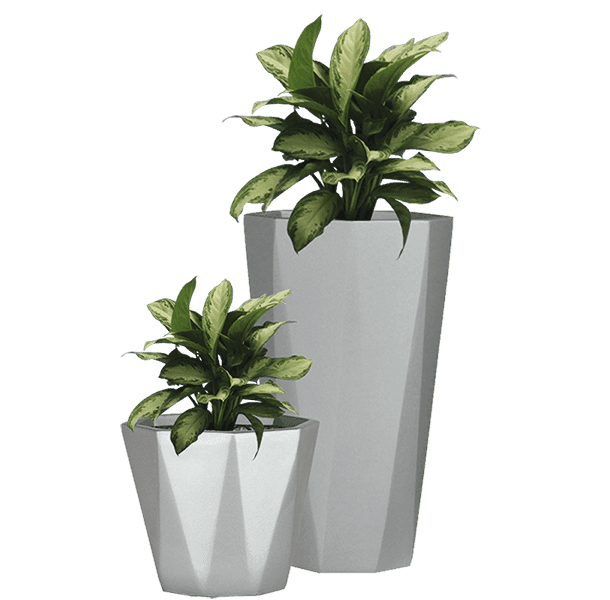 Parking Shade and Flower Pots